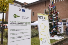 AccensioneAlbero_OspMaggiore10