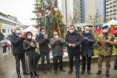 AccensioneAlbero_OspMaggiore46
