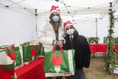 AccensioneAlbero_OspMaggiore50