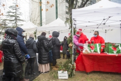 AccensioneAlbero_OspMaggiore53