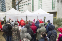 AccensioneAlbero_OspMaggiore55