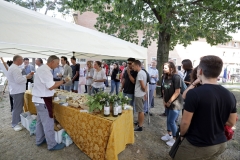 L'inaugurazione del progetto Seminare Coesione