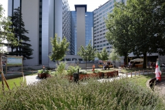 L'orto dell'Ospedale Maggiore