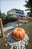 L'orto dell'Ospedale Maggiore